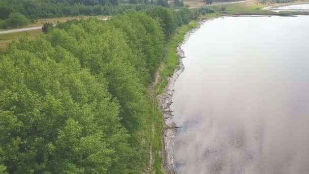 Flying above river bank with scattered wooden logs. Clip. Aerial view of a wide river shore with lush row of growing green trees on cloudy sky background. - Footage, Video