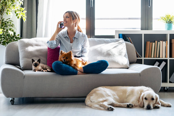 Shot of pretty young woman talking with mobile phone while sitting in couch with her dogs and cat at home. - Fotografie, Obrázek