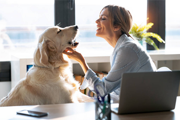 Shot of attractive young woman caring her beautiful dog while working with laptop in living room at home.  - Fotoğraf, Görsel