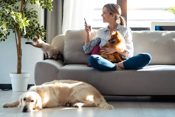 Shot of pretty young woman taking a photo with mobile phone while sitting in couch with her dogs and cat at home. - Photo, image