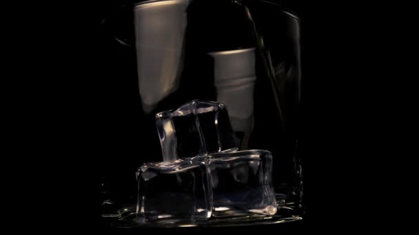 Pouring Golden whiskey into a glass with ice cubes on a black background. Thin stream. Slow motion. Close up - Filmati, video