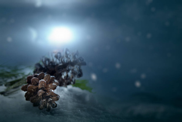 Pine cone on the snow with snowfall background - Photo, Image