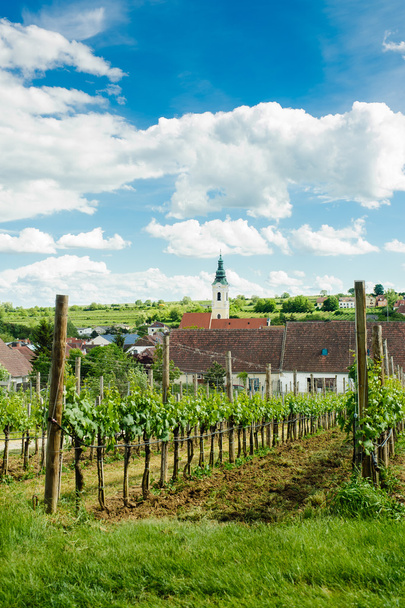 Village in Weinviertel - Photo, Image