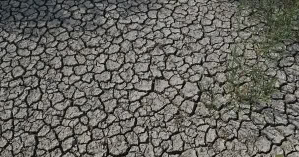 Dryness, southern france, occitanie, France - Footage, Video