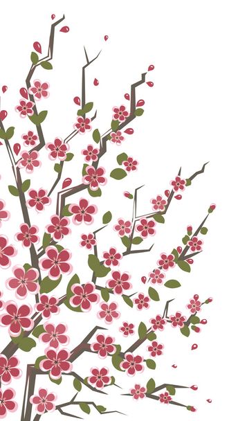 Sakura branch. Floral background. - ベクター画像