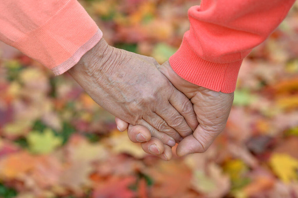 senior couple holding  hands together  - Photo, Image