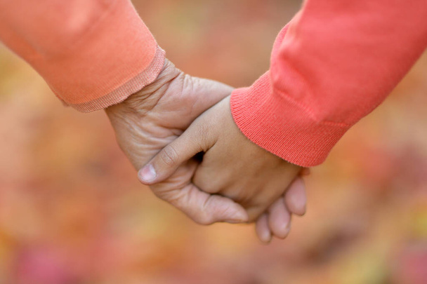 cropped image. Boy and  grandfather hands  over natural background - Фото, зображення