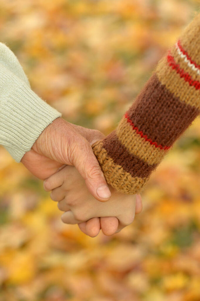 cropped image. Boy and  grandfather hands  over natural background - Фото, изображение
