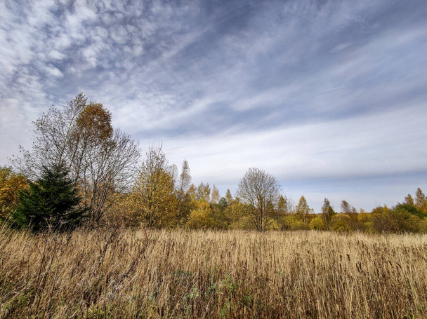 Landscape of fields and forests in the distance during the autumn period. - Fotografie, Obrázek