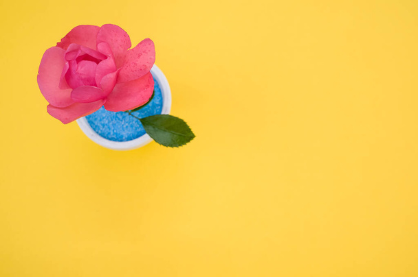 A top view of a decorative artificial pink rose in a pot on the yellow surface - space for text - Photo, Image