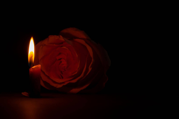 пламя свечи и рядом с ним роза в темноте крупным планом - Фото, изображение