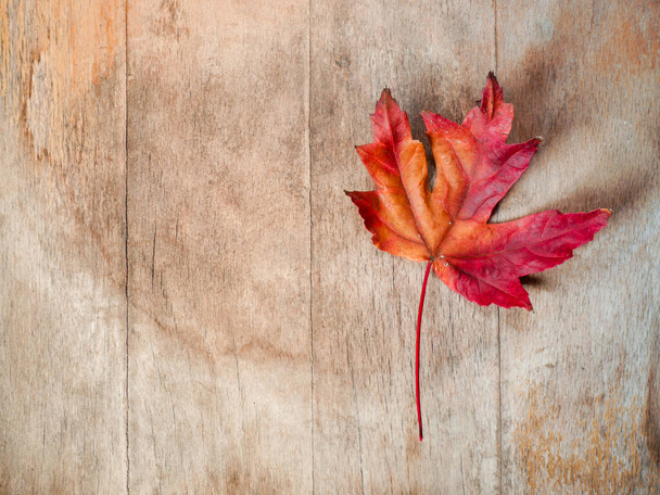 A top view of a dry red maple tree leaf on a wooden table with space for text - Photo, Image