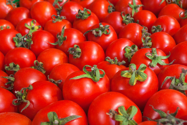 Mini tomates cereja. Fundo vegetal de tomates suculentos e maduros. Foto de alta qualidade - Foto, Imagem