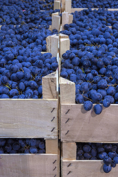 Uvas maduras en cajas de madera. Productos locales en el mercado de agricultores de otoño. Foto de alta calidad - Foto, Imagen