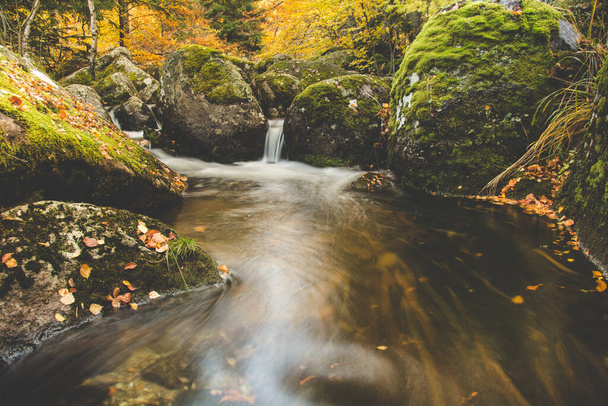 A pond with a small waterfall flowing into it in the fall with fallen colorful leaves - 写真・画像