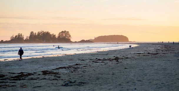 People enjoying a beach in Tofino, British Columbia at sunset. - Photo, Image