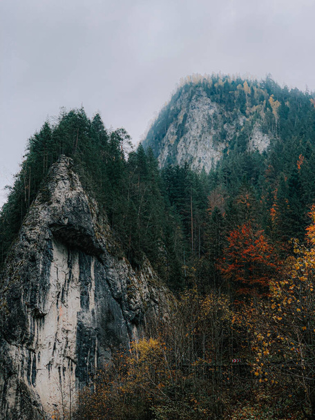 A vertical shot of rocky mountains and colorful autumn trees - Fotó, kép