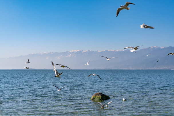 The view of Erhai lake near Dali in Yunnan province in China - Фото, изображение
