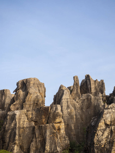 A vertical shot of a canyon in Cerro del Hierro, Sevilla - Фото, изображение
