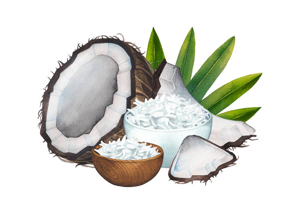 Akvarelové složení s krájenými kokosovými ořechy, miskami a vločkami a dlouhými listy - Fotografie, Obrázek