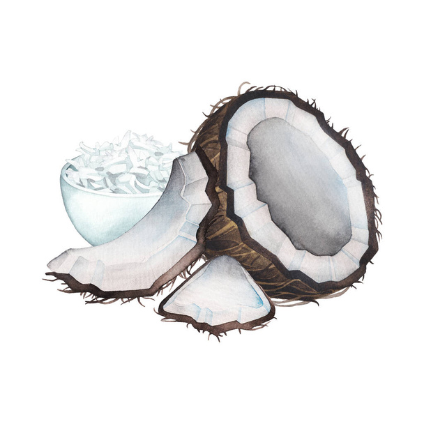 Watercolor compositions with whole and sliced coconuts, bowls and handfuls of flakes and long leaves - Fotó, kép