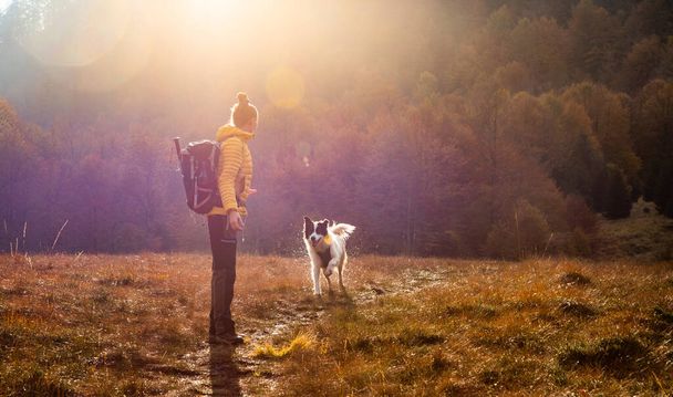 mujer y perro al aire libre en otoño salida del sol distanciamiento social - Foto, imagen