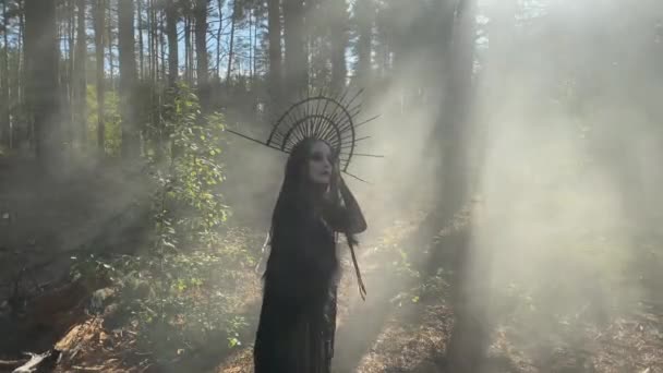 Giovane donna a immagine di strega si trova in abito nero e corona sulla testa in penetrato dai raggi del sole foresta nebbiosa. - Filmati, video