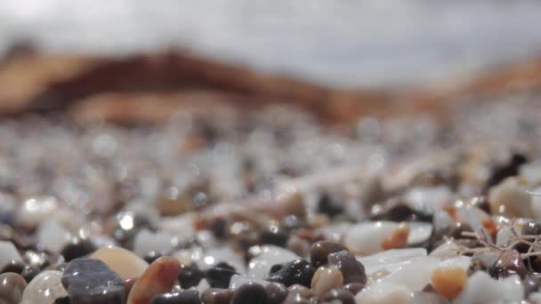 Makromateriał filmowy z mokrych kamieni na brzegu morza - Materiał filmowy, wideo