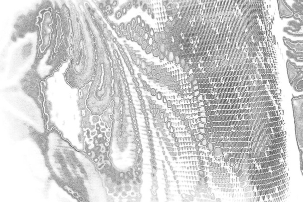 Texture monochrome. Image incluant l'effet des tons noir et blanc. Contexte abstrait.  - Photo, image