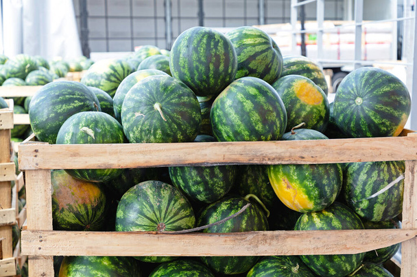 Big Watermelons in Crates at Wholesale Warehouse - Fotó, kép