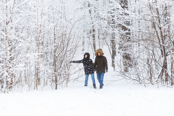 Mladý pár procházející se v zasněženém parku. Zimní sezóna. - Fotografie, Obrázek