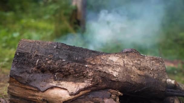 el humo espeso viene de un pedazo redondo grande de madera en el bosque - Imágenes, Vídeo