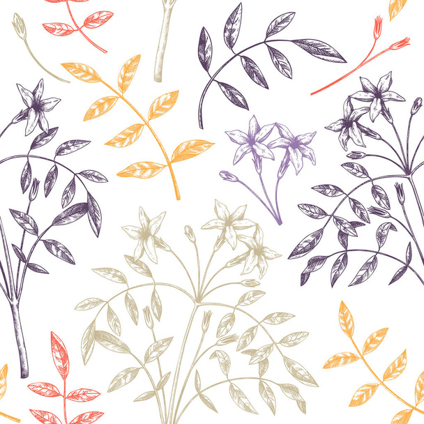 Hand sketched Jasmine seamless pattern in color. Botanical illustration with leaves and flowers. White Jasmine backdrop. Hand-drawn flowering plant background. Floral drawing on white background.  - Вектор, зображення