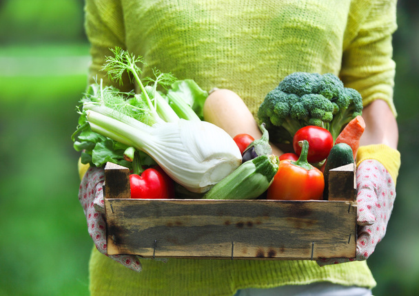 Mujer usando guantes con verduras frescas en la caja en su han
 - Foto, Imagen
