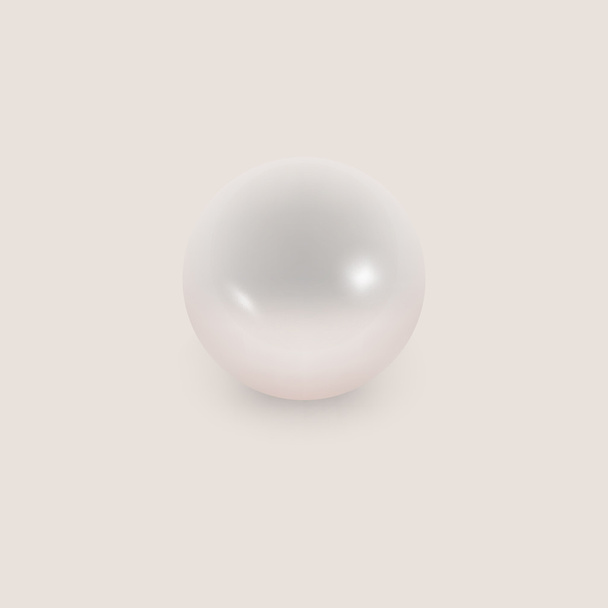 真珠パール - ベクター画像