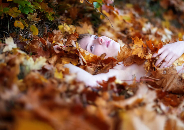 Porträt einer schönen sexy schönen jungen Frau, die auf goldenen Herbstblättern liegt, bedeckt mit gelben und roten Herbstblättern, im Park, mit freundlichem Lächeln im Gesicht, Kopierraum - Foto, Bild