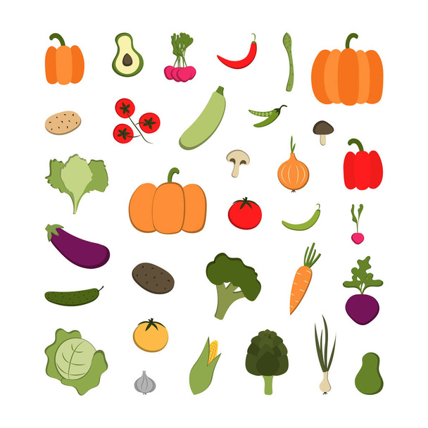 Vektori joukko vihanneksia maissi, kurpitsa, peruna, tomaatti ja muut. Orgaaniset vihannekset sarjakuva tasainen tyyli. Kasviskäsite. - Vektori, kuva