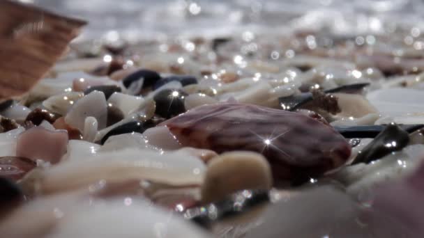 Deniz kıyısındaki ıslak çakıl taşlarının makro görüntüleri - Video, Çekim