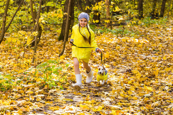 Portrait of a little girl on a background of orange and yellow leaves in an autumnal sunny day. Little puppy jack russell terrier. Pet and child concept. Friendship. - Foto, Imagen
