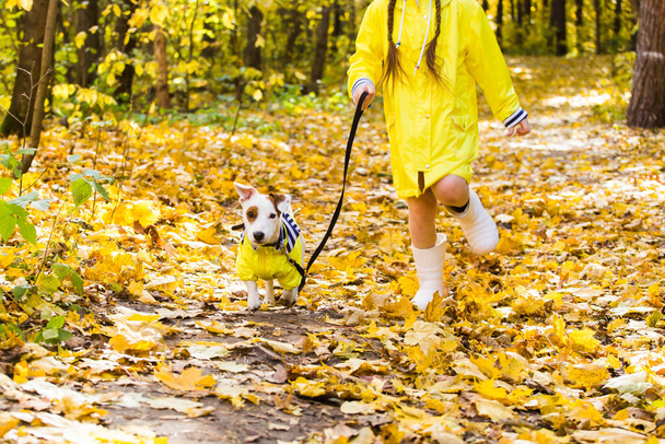 Menina brincando com seu cão na floresta de outono. Criança e Jack Russell cão terrier. - Foto, Imagem