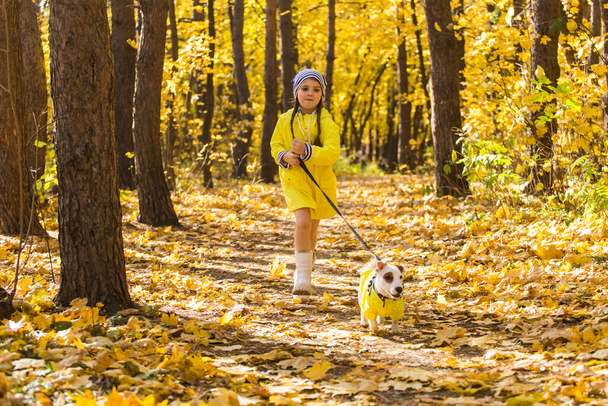 Little girl playing with her dog in autumn forest. Child and jack russell terrier dog. - Foto, afbeelding