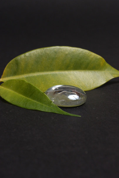 jasno zielone liście z kamień szkła - Zdjęcie, obraz