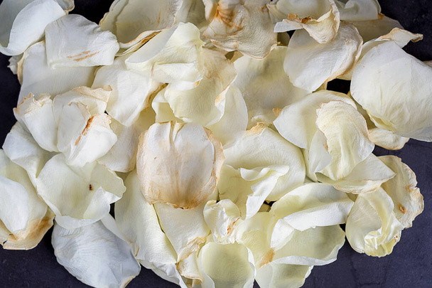 Лепестки белой сушеной розы на сером фоне - Фото, изображение