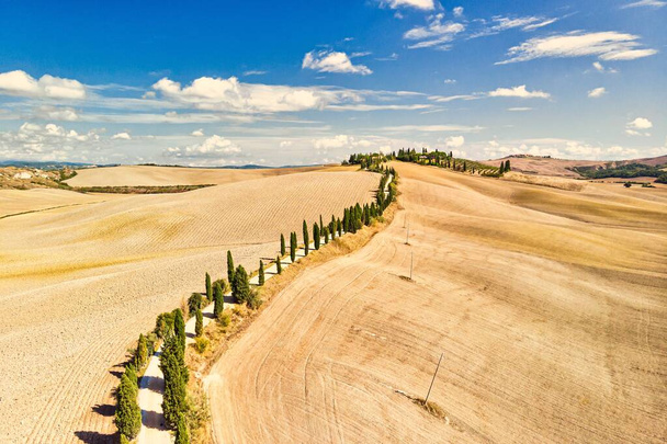Golden fields of Siena Tuscany Italy with road and blue summer sky. Aerial view.   - Фото, изображение