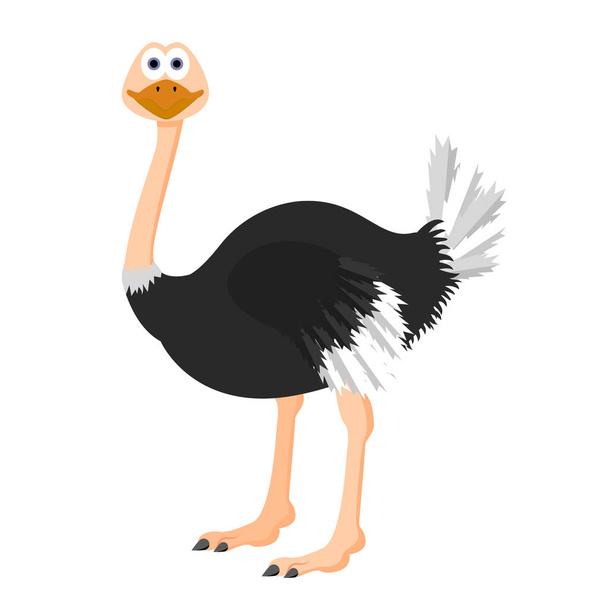 Vector ostrich for your ideas - Vector, Image