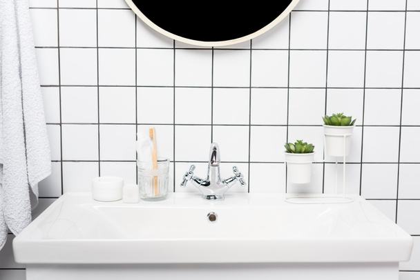 Fogkrém fogkefével, növényekkel és kozmetikai krémmel a mosogatóban a modern fürdőszobában  - Fotó, kép
