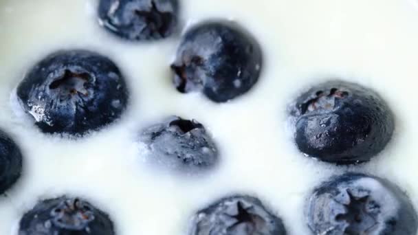 close-up van verse yoghurt met blauwe bes in een kom  - Video