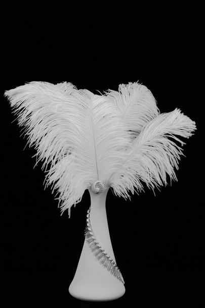 Fine Art white feathers, black background, and silver vintage jewelry - Photo, Image