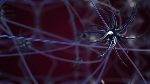 4k video de super macro vista de cerca de neuronas dentro del cerebro humano. - Metraje, vídeo
