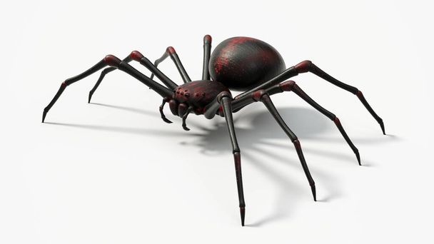 赤い肌をした黒いクモ。ホラー、ハロウィン、アラキンドや昆虫のテーマに適しています。白い背景の3Dイラスト. - 写真・画像